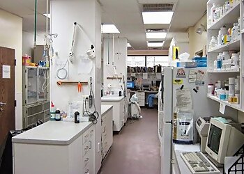 Yonkers Veterinary Clinics County Animal Clinic