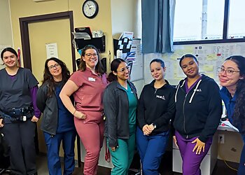 Yonkers Veterinary Clinics County Animal Clinic