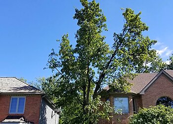 Chicago Tree Services County Tree Service, INC.