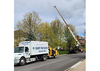 County Tree Service, INC. Chicago Tree Services