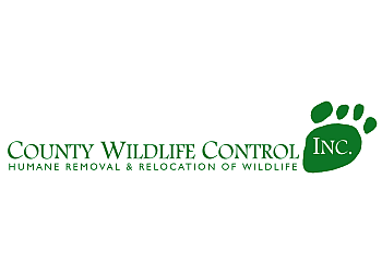 County Wildlife Control Inc County Wildlife Control Inc