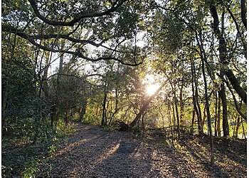 New Orleans Hiking Trails Couturie Forest