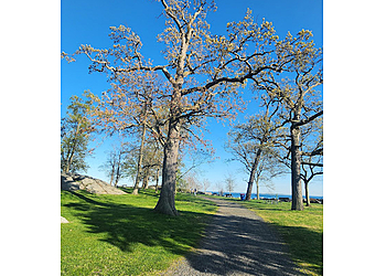 Stamford Hiking Trails Cove Island Park
