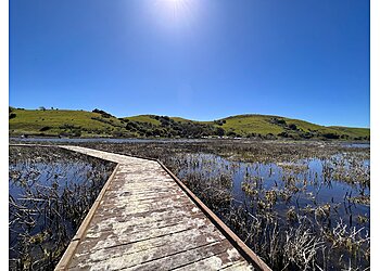Fremont Hiking Trails Coyote Hills Regional Park