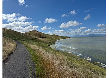 Fremont Hiking Trails Coyote Hills Regional Park