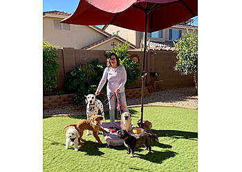 Surprise Dog Walkers Cozy Noses