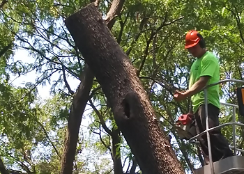 Wichita Tree Services Crabtree's Tree Service