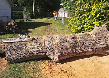 Wichita Tree Services Crabtree's Tree Service