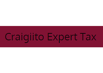 Lakewood Tax Services Craigiito Expert Tax