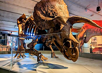 Sterling Heights Places To See Cranbrook Institute of Science