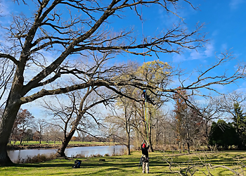 Milwaukee Tree Services Crawford Tree & Landscape Services, Inc.