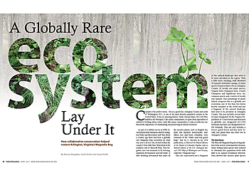 Corona Web Designers Creative By Design