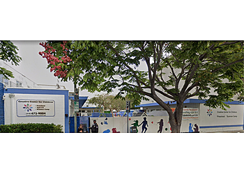 Los Angeles Preschools Creative Center for Children