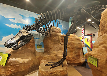 Chattanooga Places To See Creative Discovery Museum