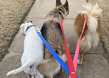 Memphis Dog Walkers Creature Comforts Memphis