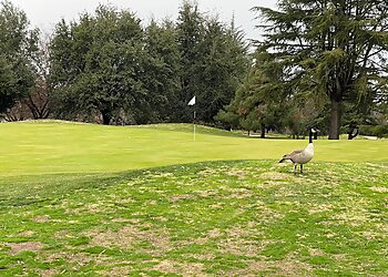Modesto Golf Courses Creekside Golf Course