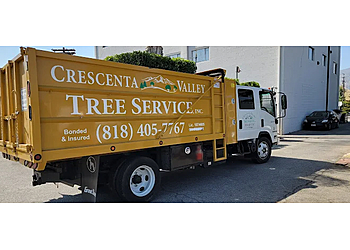Crescenta Valley Tree Service Glendale Tree Services image 1