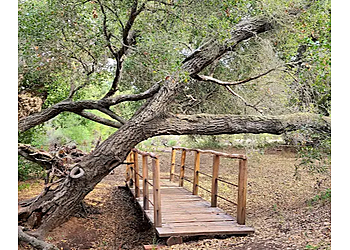 El Cajon Hiking Trails Crestridge Ecological Reserve