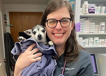 St Louis Veterinary Clinics Creve Coeur Animal Hospital