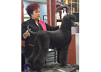 Sunnyvale Pet Grooming Critter Clippers Pet Grooming Salon & Boutique