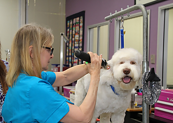 Sunnyvale Pet Grooming Critter Clippers Pet Grooming Salon & Boutique