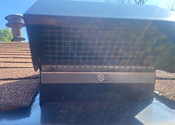 Columbus Animal Removal Critter Control