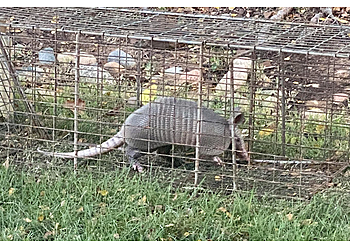 Dallas Animal Removal Critter Control