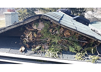 Dallas Animal Removal Critter Control