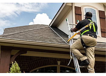 Lakewood Animal Removal Critter Control