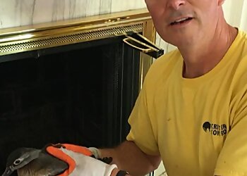 Louisville Animal Removal Critter Control