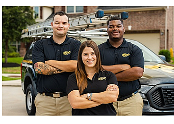 Memphis Animal Removal Critter Control