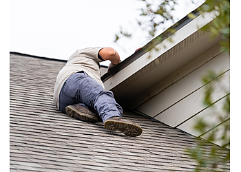 San Antonio Animal Removal Critter Evictor