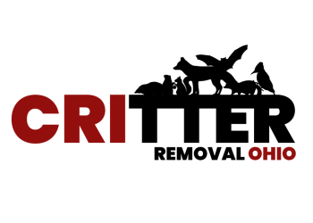 Critter Removal 