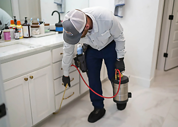 Denton Pest Control Companies Critter Stop