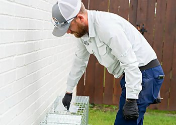 Denton Pest Control Companies Critter Stop