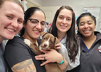 Fayetteville Veterinary Clinics Cross Creek Animal Hospital