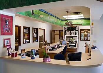 Arlington Veterinary Clinics Crossroads Animal Clinic