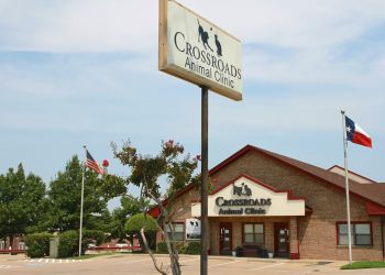 Crossroads Animal Clinic 
