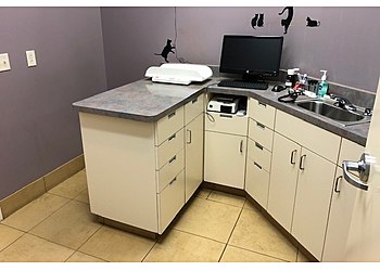 Crystal Springs Pet Hospital - San Mateo, CA Veterinary Clinics - Doctor With Patient Image