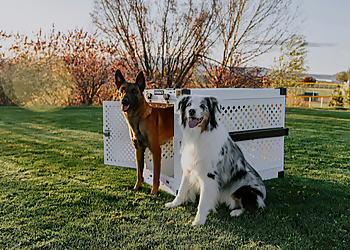 CuddlyTails - Hialeah, FL Dog Walkers - Job Site Image