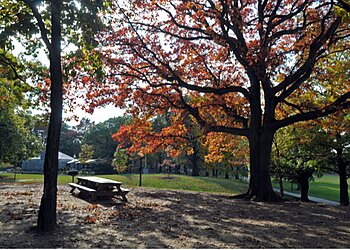 New York Hiking Trails Cunningham Park