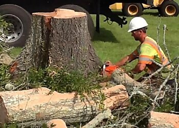 Jacksonville Tree Services Custom Tree Surgeons