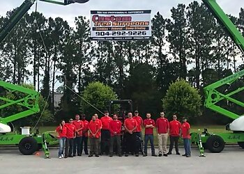 Jacksonville Tree Services Custom Tree Surgeons