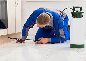 Custom Weed & Pest Control - Surprise, AZ Pest Control Companies - Service Image