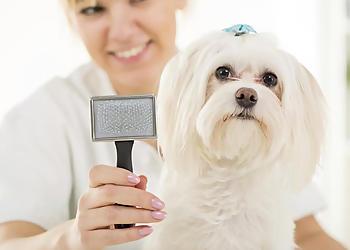 Glendale Pet Grooming Cut & Dry Pet Salon