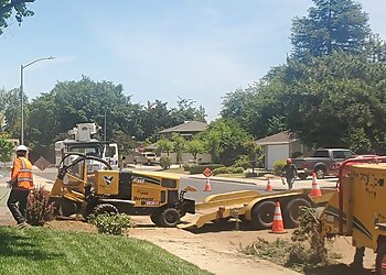 Fresno Tree Services Cut Rite Tree Service