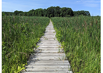Cambridge Hiking Trails Cutler Park Reservation