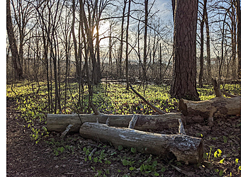 Cambridge Hiking Trails Cutler Park Reservation