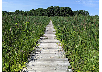 Cutler Park Reservation Cambridge Hiking Trails image 1