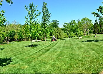 New Orleans Lawn Care Services Cutting Edge Lawn Care